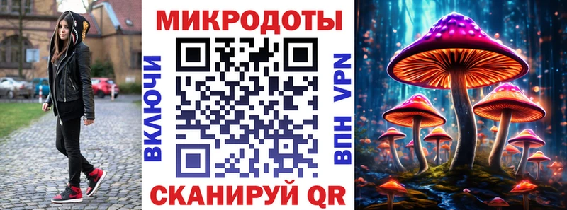 Псилоцибиновые грибы Psilocybine cubensis Купить Старая Русса